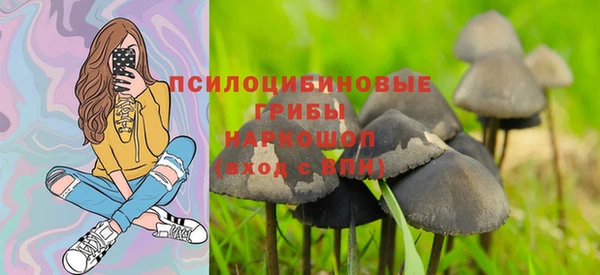 экстази Алексин