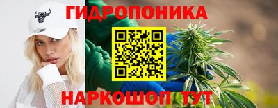 шишки Шебекино