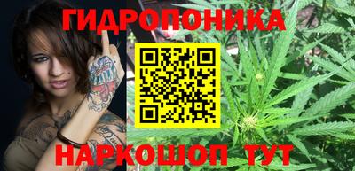 шишки Шебекино