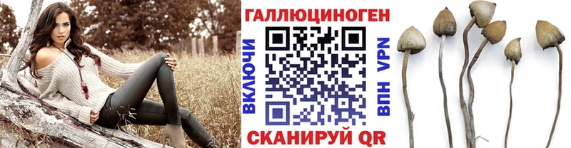 Псилоцибиновые грибы MAGIC MUSHROOMS  Новороссийск 